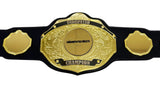Spinner Belt Sample 4