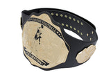 Fantasy Football Championship Belt Trophy Black Gold Undisputed Belts