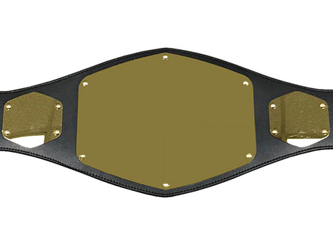 CUSTOM CHAMPIONSHIP BELT 2