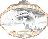 STRIPED BASS BELT