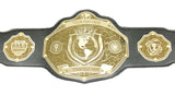 World Champion Championship Belt