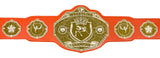 Wrestling Championship Belt